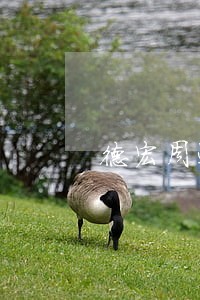 德宏周边刑事律师费用 德宏周边刑事律师费用