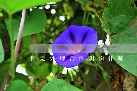 德宏处理合同纠纷律师 德宏处理合同纠纷律师