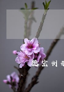 德宏州刑事律师法律咨询 德宏州刑事律师法律咨询