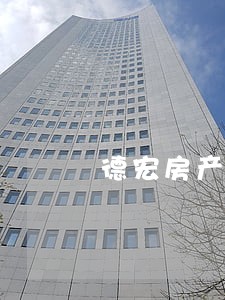 德宏房产债务纠纷律师