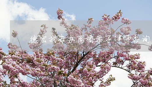 德宏找专办离婚案子律师咨询