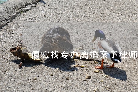 德宏找专办离婚案子律师欢迎合作 德宏找专办离婚案子律师欢迎合作