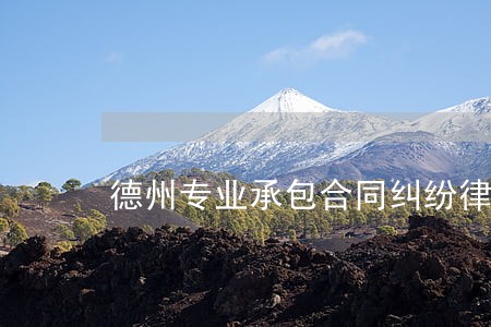 德州专业承包合同纠纷律师 德州专业承包合同纠纷律师