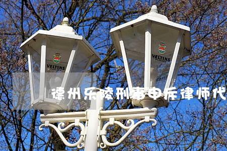 德州乐陵刑事申斥律师代理