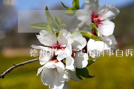 德州乐陵厉害的刑事自诉律师