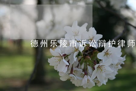 德州乐陵市诉讼辩护律师 德州乐陵市诉讼辩护律师