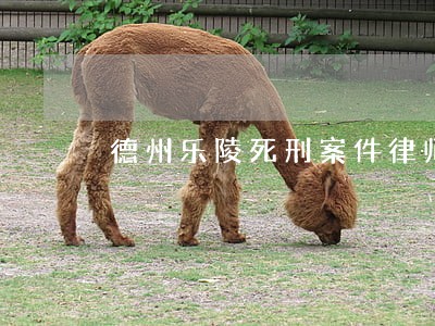德州乐陵死刑案件律师 德州乐陵死刑案件律师