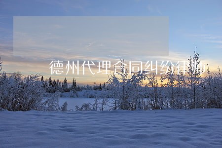 德州代理合同纠纷律师 德州代理合同纠纷律师
