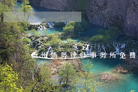 德州债务律师事务所免费咨询 德州债务律师事务所免费咨询