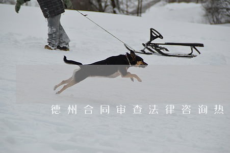 德州合同审查法律咨询热线 德州合同审查法律咨询热线