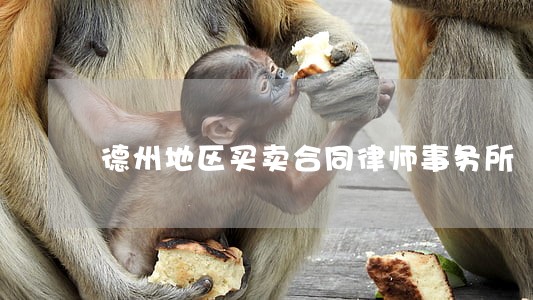 德州地区买卖合同律师事务所 德州地区买卖合同律师事务所