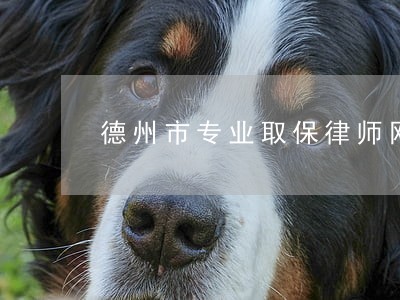 德州市专业取保律师网站 德州市专业取保律师网站