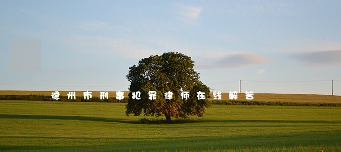 德州市刑事犯罪律师在线解答 德州市刑事犯罪律师在线解答