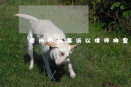 德州市刑事诉讼律师哪里找 德州市刑事诉讼律师哪里找