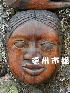 德州市婚姻律师哪里找 德州市婚姻律师哪里找