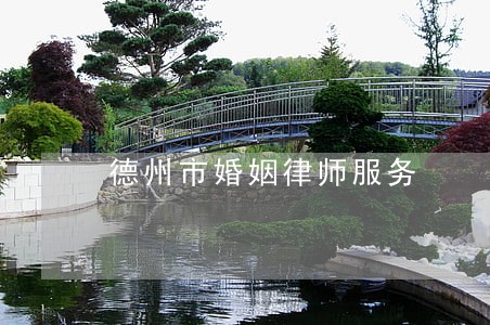 德州市婚姻律师服务 德州市婚姻律师服务