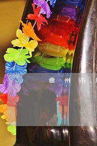 德州市局调研组来武城调研 德州市局调研组来武城调研