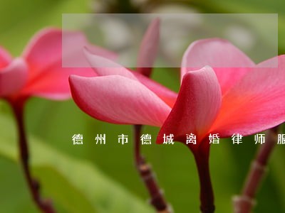 德州市德城离婚律师服务 德州市德城离婚律师服务