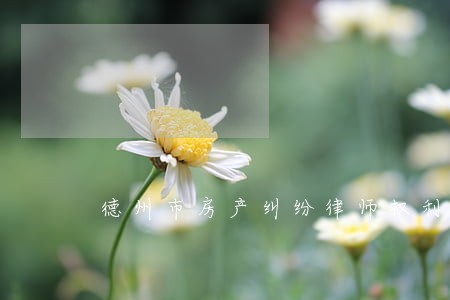 德州市房产纠纷律师权利 德州市房产纠纷律师权利