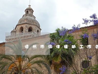 德州市法律援助工作会议 德州市法律援助工作会议