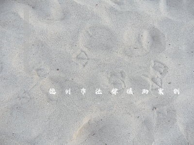 德州市法律援助案例