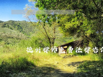 德州律师免费法律咨询 德州律师免费法律咨询