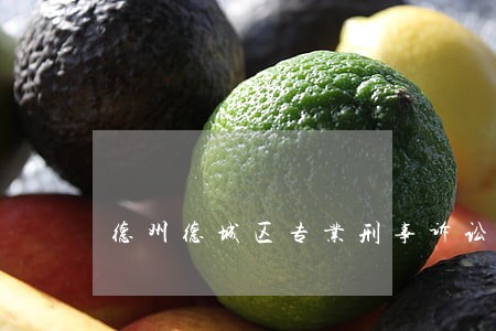 德州德城区专业刑事诉讼律师推荐 德州德城区专业刑事诉讼律师推荐