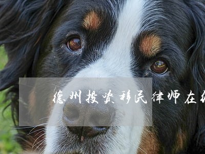 德州投资移民律师在线咨询 德州投资移民律师在线咨询