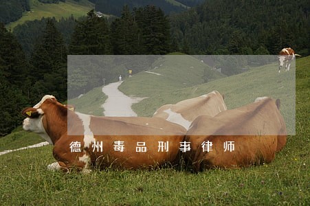 德州毒品刑事律师