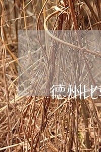 德州比较好的离婚律师 德州比较好的离婚律师