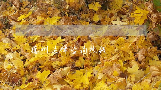 德州法律咨询热线