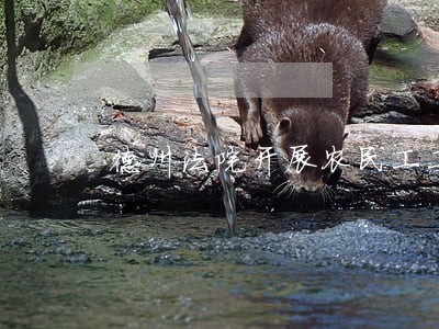 德州法院开展农民工工资专项执行 德州法院开展农民工工资专项执行