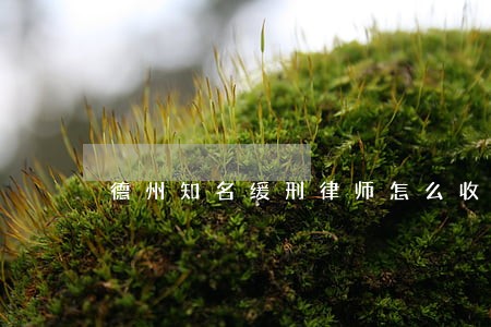 德州知名缓刑律师怎么收费 德州知名缓刑律师怎么收费