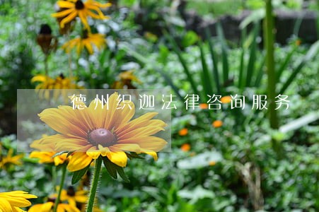 德州织迦法律咨询服务 德州织迦法律咨询服务