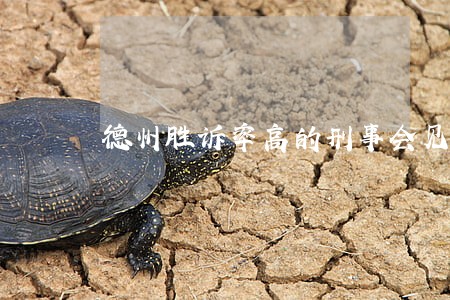 德州胜诉率高的刑事会见律师费用 德州胜诉率高的刑事会见律师费用