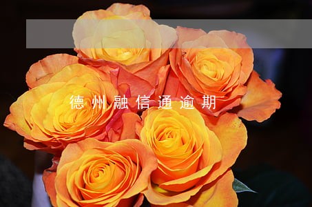 德州融信通逾期