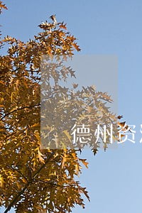 德州资深仲裁律师咨询电话 德州资深仲裁律师咨询电话