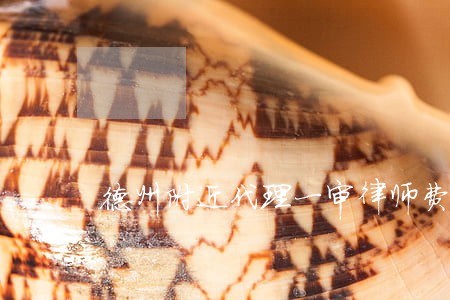 德州附近代理一审律师费 德州附近代理一审律师费