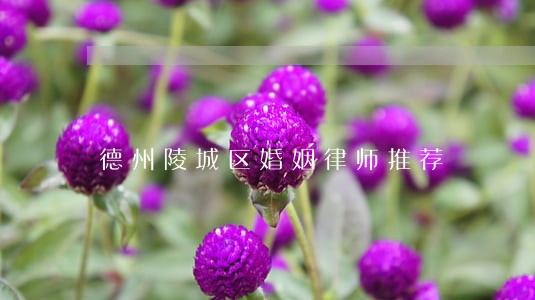 德州陵城区婚姻律师推荐