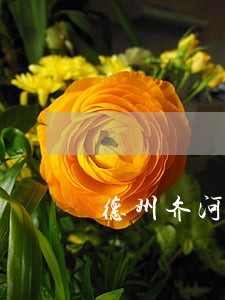 德州齐河刑辩律师联系电话 德州齐河刑辩律师联系电话