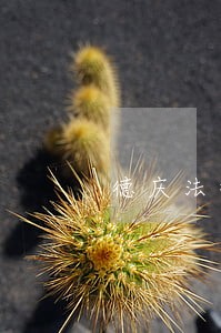 德庆法律咨询费用是多少 德庆法律咨询费用是多少