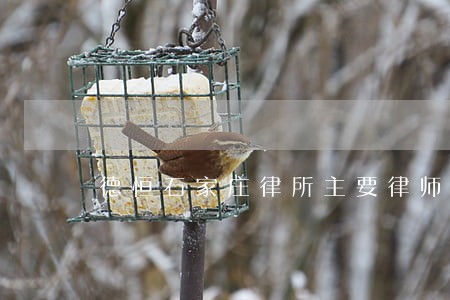 德恒石家庄律所主要律师 德恒石家庄律所主要律师