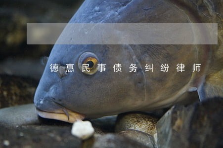 德惠民事债务纠纷律师 德惠民事债务纠纷律师