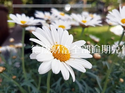 德成财富全部逾期兑付怎么办 德成财富全部逾期兑付怎么办