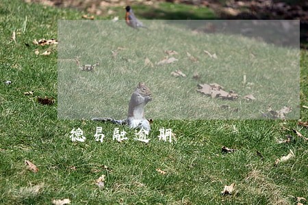 德易融逾期 德易融逾期