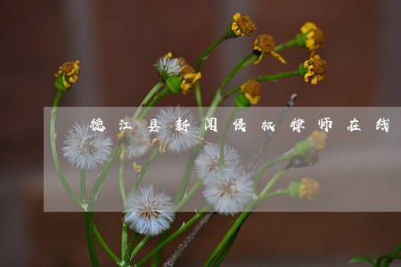 德江县新闻侵权律师在线免费咨询 德江县新闻侵权律师在线免费咨询