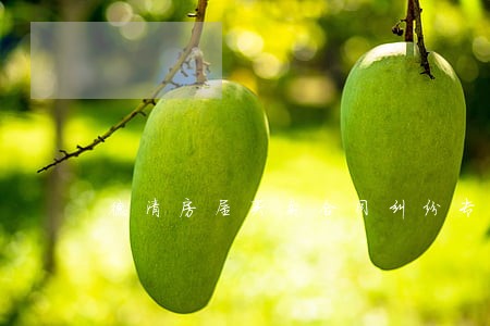 德清房屋买卖合同纠纷专业律师 德清房屋买卖合同纠纷专业律师