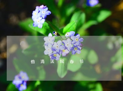 德清法院春节 德清法院春节
