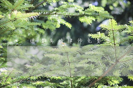 德清离婚律师免费咨询 德清离婚律师免费咨询