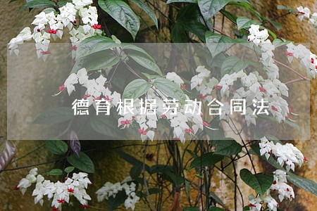 德育根据劳动合同法 德育根据劳动合同法